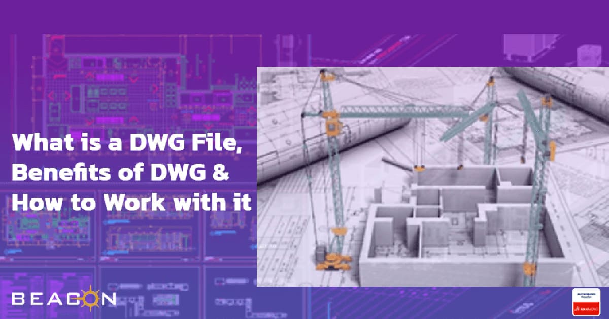 DWG.jpg
